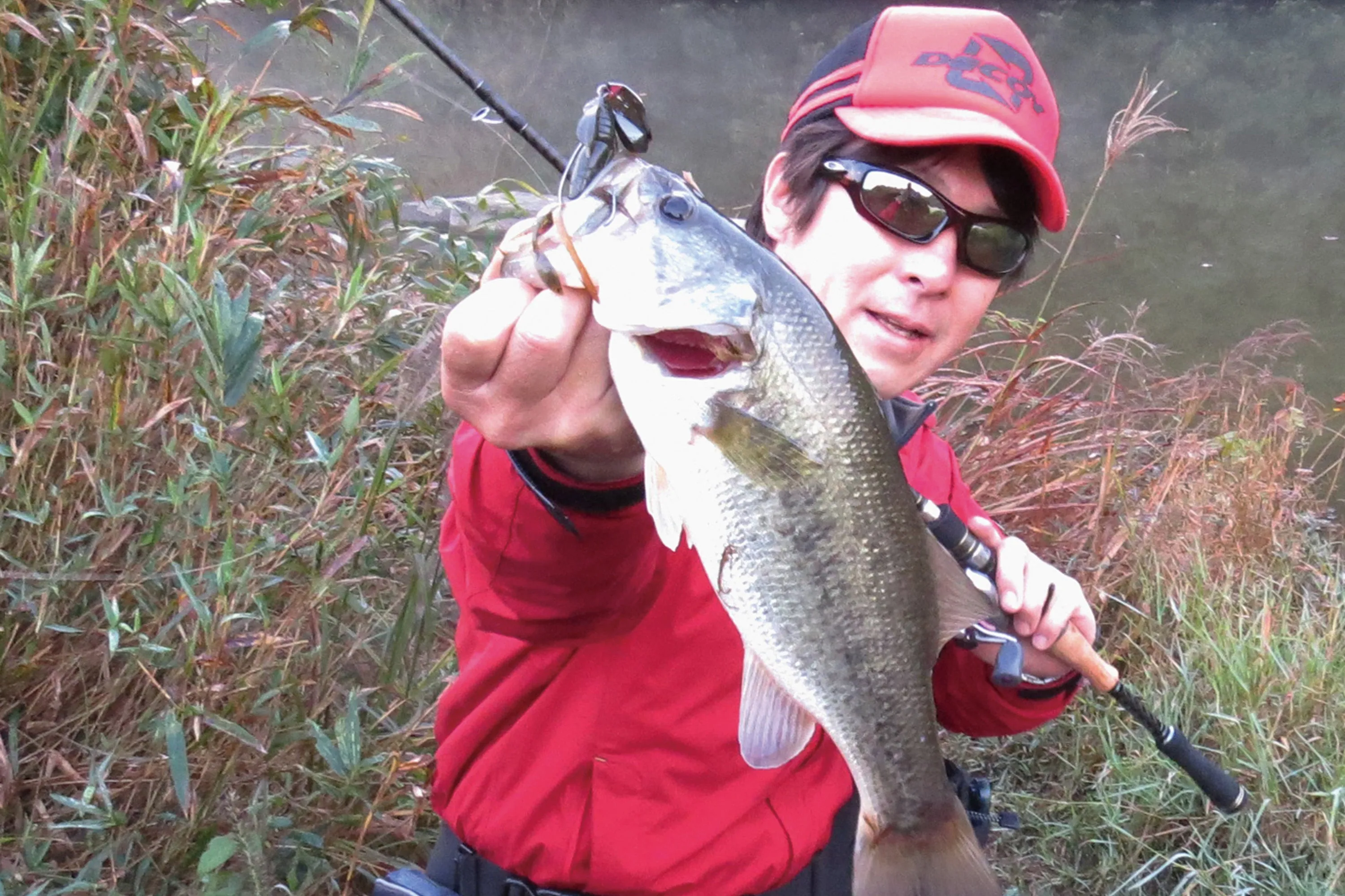 Decoy ZF-1 ZERO DAN FLASH OFFSET Worm Hook